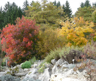 Herbststimmung am Dufthügel