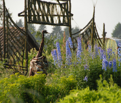 Delphinium mit Vogelstrauß