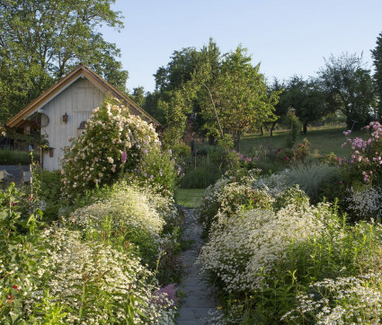 Garten Wolfgang Seethaler