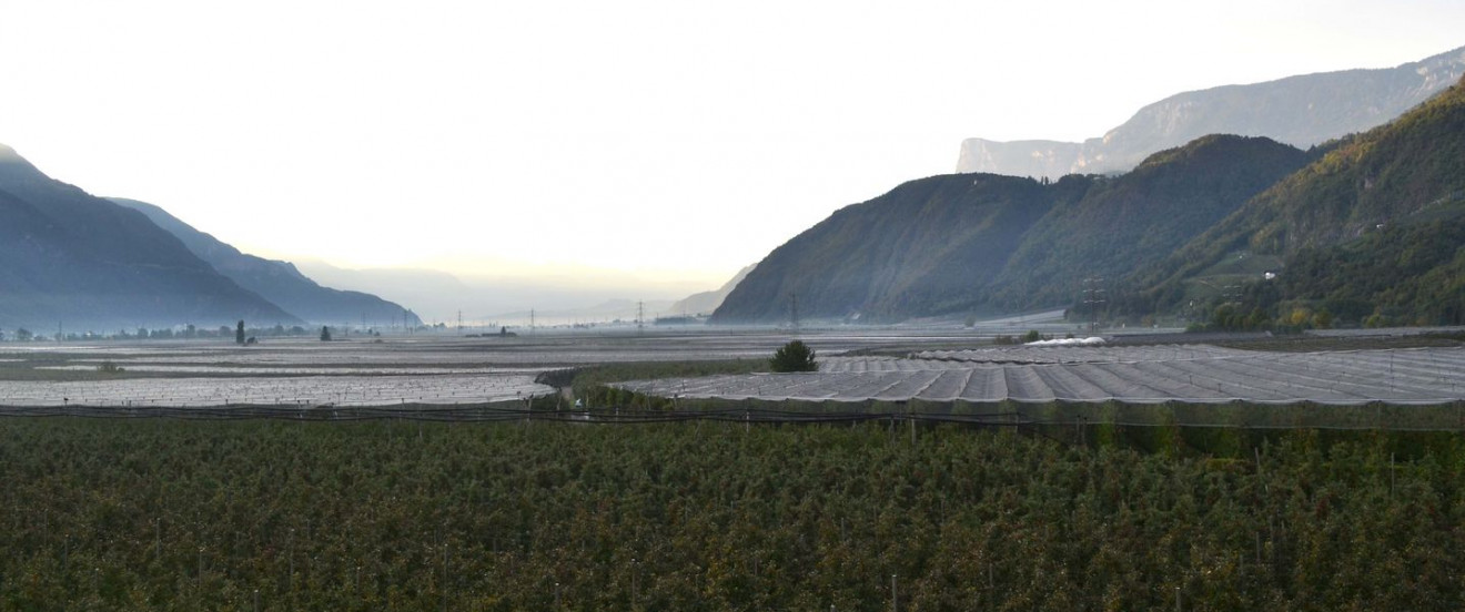 Vernetzte Landschaft