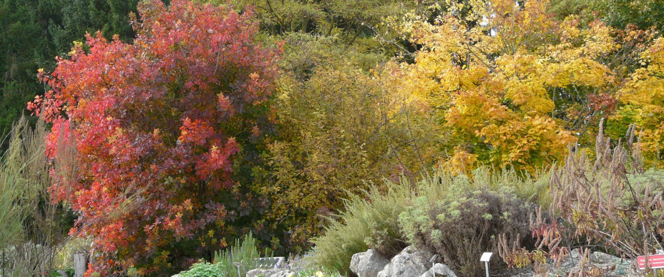 Herbststimmung am Dufthügel